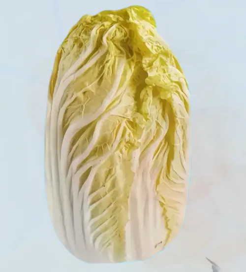 娃娃菜次品