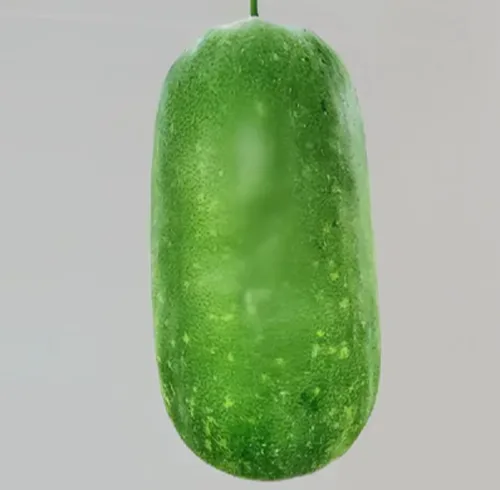 冬瓜次品