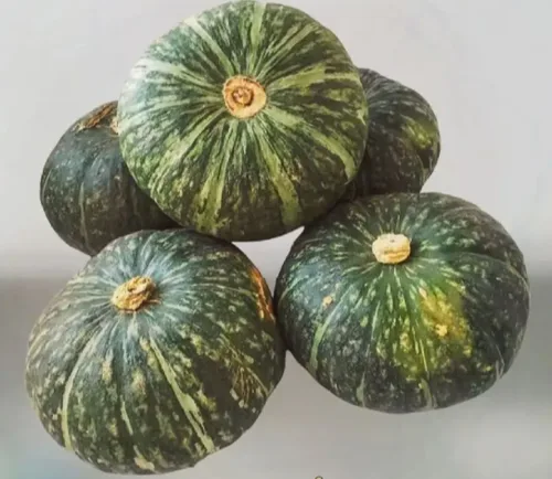 南瓜次品