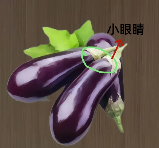 老茄子小眼睛次品
