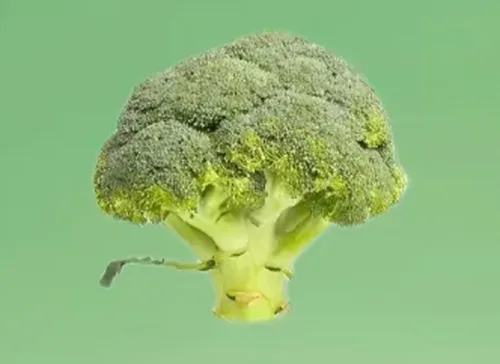 西兰花次品：花散发黄干枯
