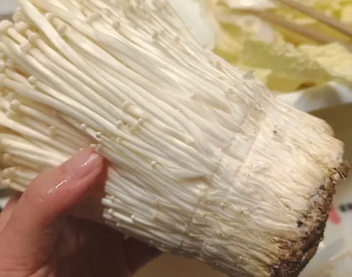 金针菇次品
