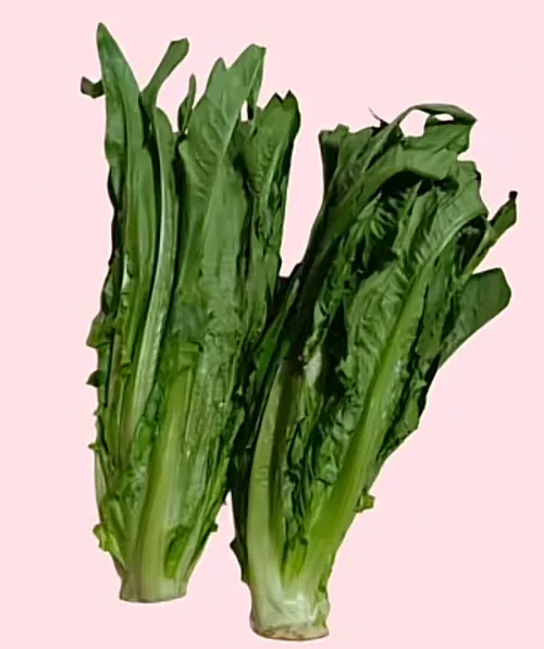油麦菜次品