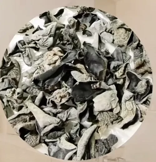 黑木耳次品