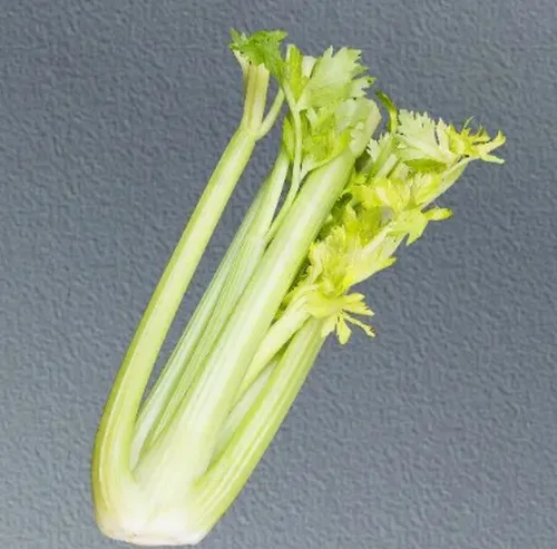 芹菜次品