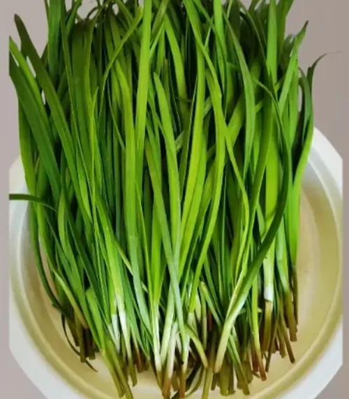 韭菜次品