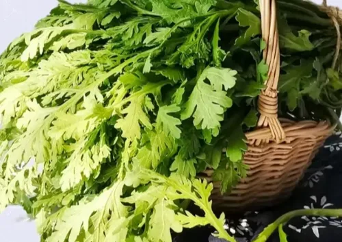 茼蒿次品
