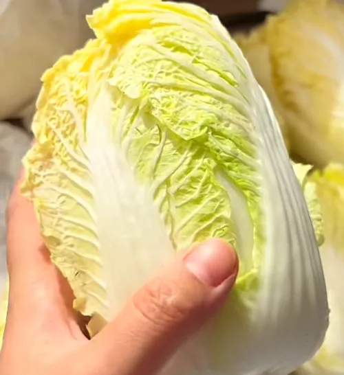 娃娃菜好货