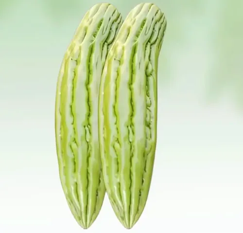 苦瓜好货