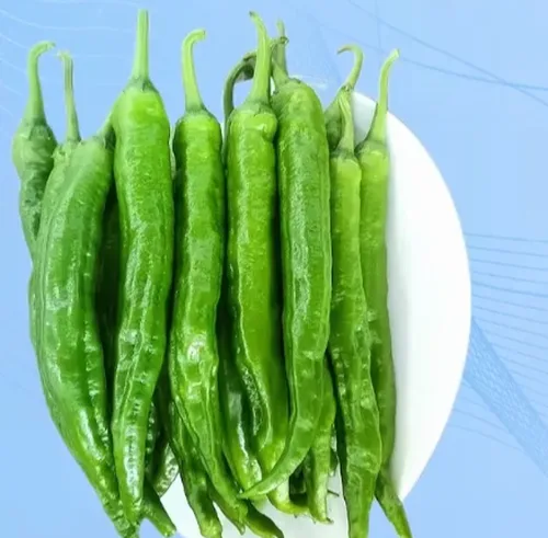 辣椒好货