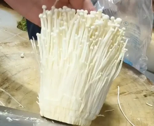金针菇好货