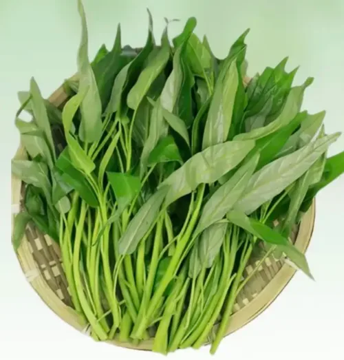 空心菜好货