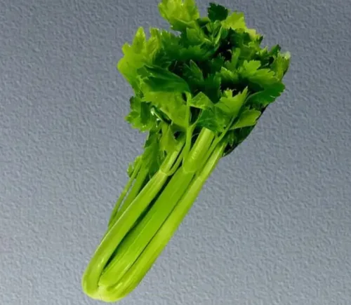芹菜好货