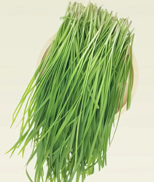 韭菜好货