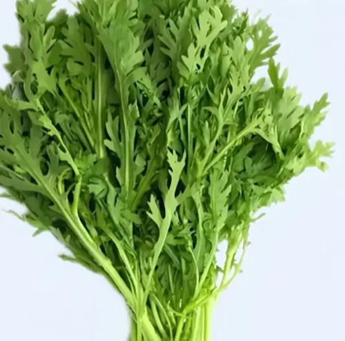 茼蒿好货