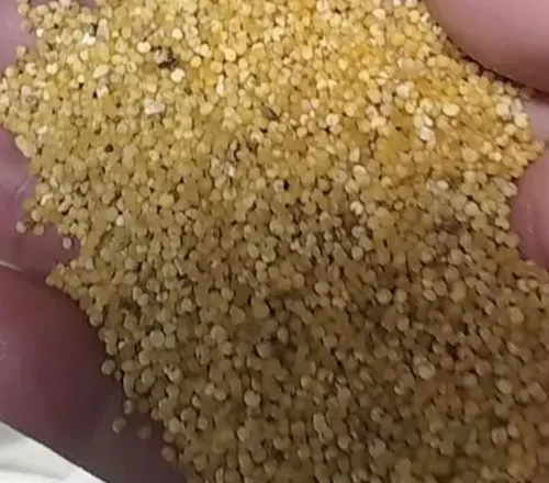 小米次品