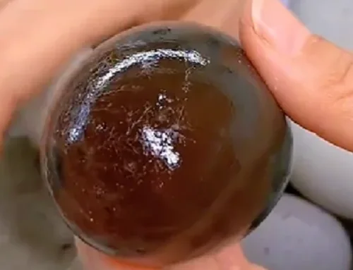 皮蛋好货