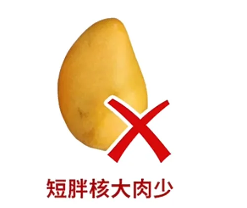 芒果次品