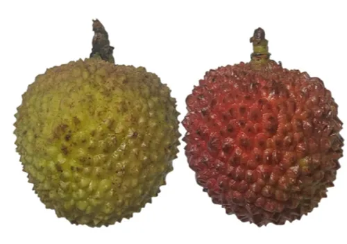 荔枝次品