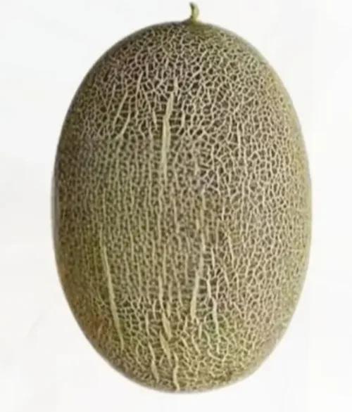 哈密瓜次品