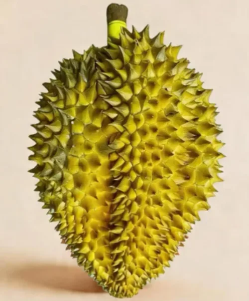 榴莲次品