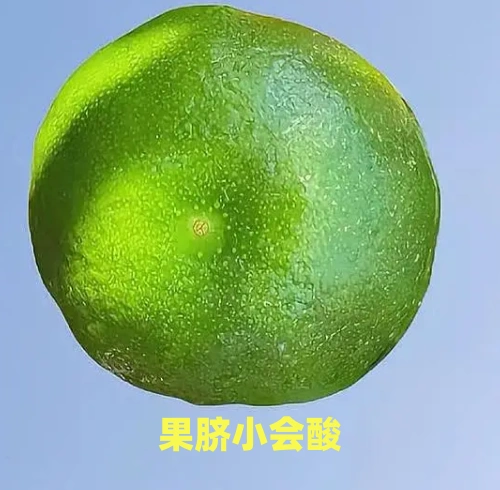 橘子次品