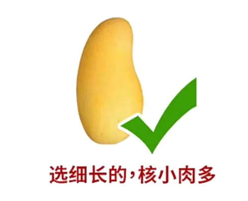 芒果好货