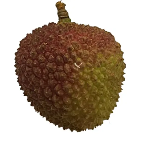荔枝好货