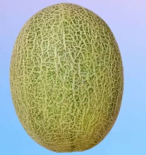 哈密瓜好货
