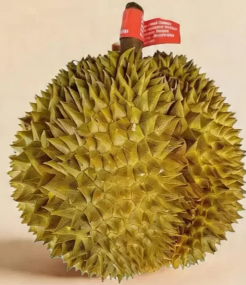 榴莲好货