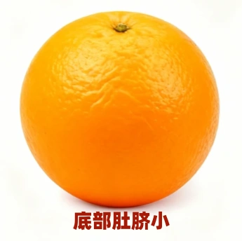 橙子好货