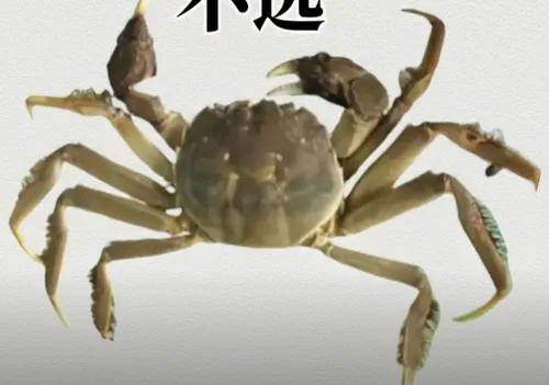 大闸蟹次品