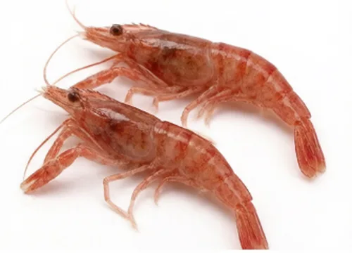 河虾次品
