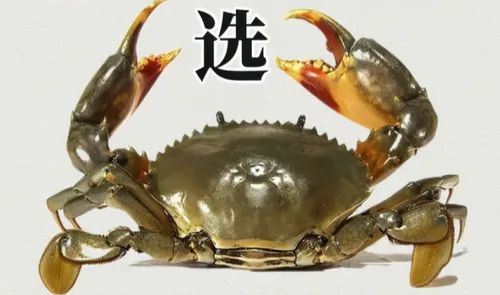 大闸蟹好货