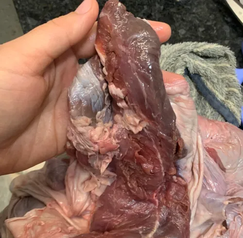 牛腩次品