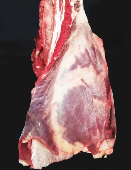 牛腩好货