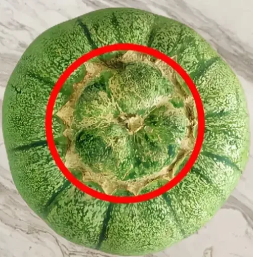 甜瓜好货